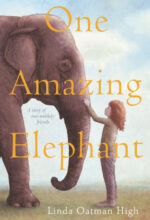 One Amazing Elephany