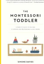 The Montessori Toddler