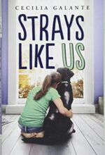 Strays Like Us