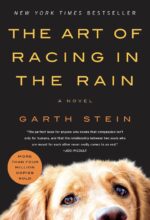 The Art of Racing in the Rain